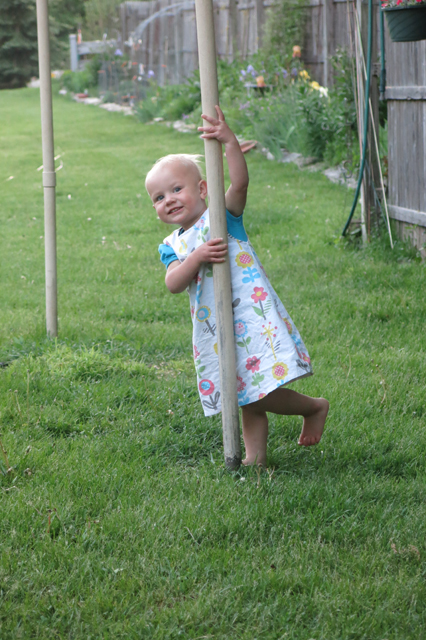 Dad's yard pole Nola Mae