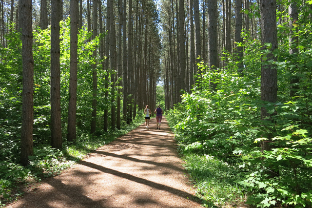 Frugal Sisters' Half Marathon 3 wooded trail