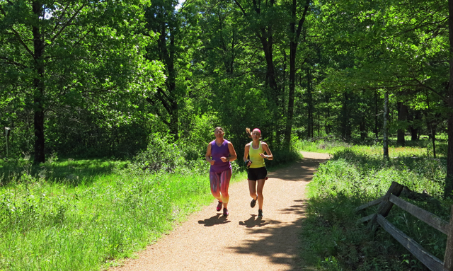 Frugal Sisters' Half Marathon 6 trail