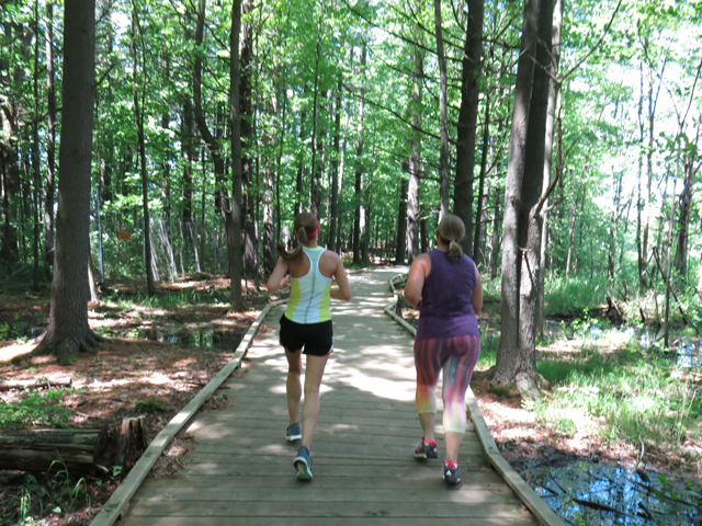 Frugal Sisters' Half Marathon 9 boardwalk in woods